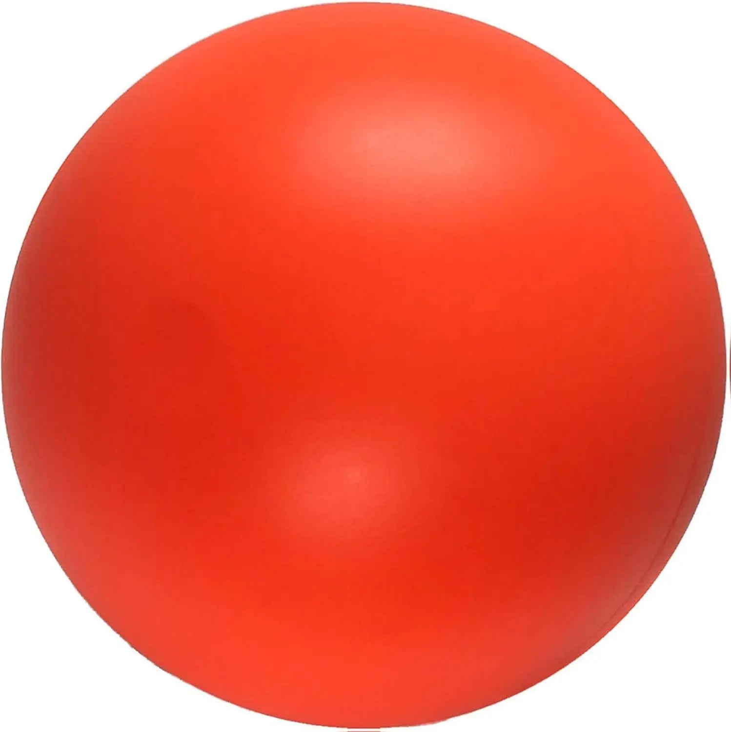 Durable 10-Inch Dog Ball for Enhanced Playtime