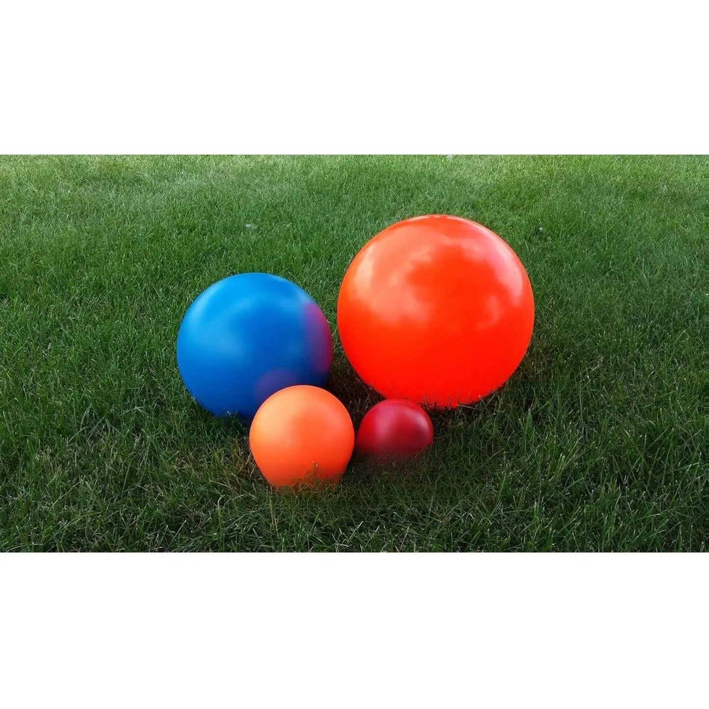 Durable 10-Inch Dog Ball for Enhanced Playtime