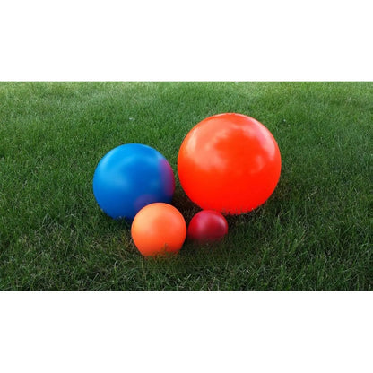 Durable 10-Inch Dog Ball for Enhanced Playtime