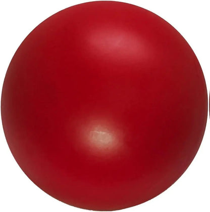 Durable 10-Inch Dog Ball for Enhanced Playtime