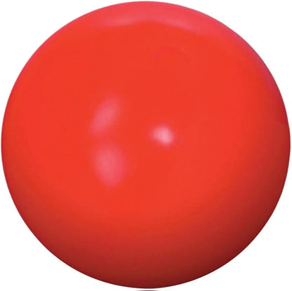Durable 10-Inch Dog Ball for Enhanced Playtime