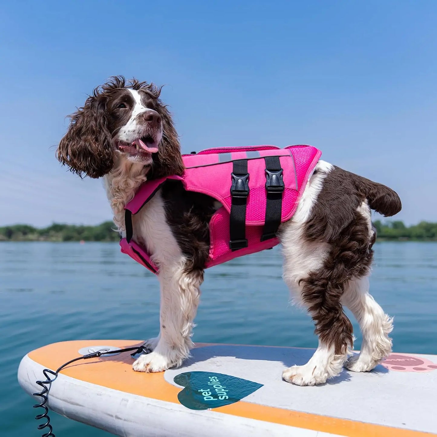 Kuoser Large Dog Life Jacket - High Flotation Safety Vest for Swimming and Boating, Reflective Water Vest with Rescue Handle