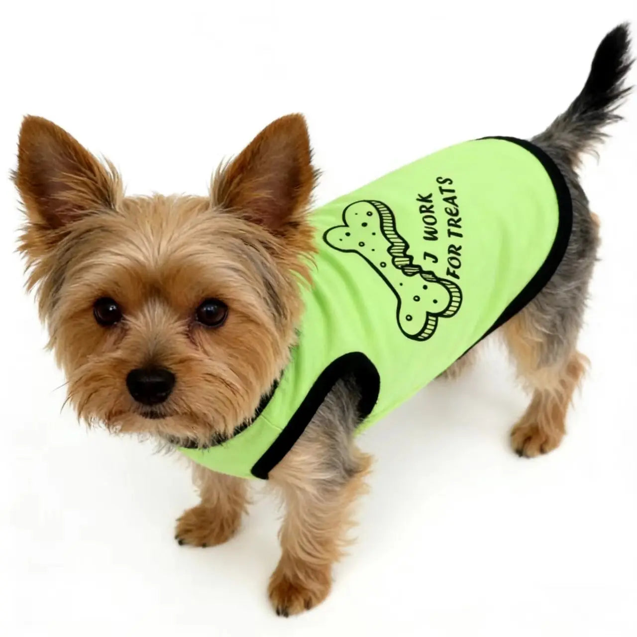 Trendy Pet Vest Shirts for Dogs and Cats - 3 Pack, Elastic Clothing for Small to Medium Pets, Ideal for Spring and Summer Festivals