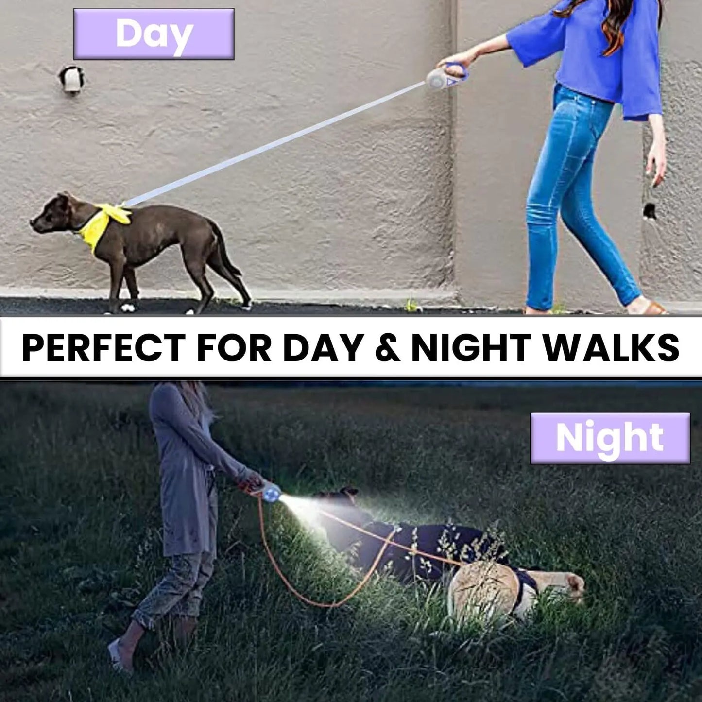 Pawzseek LED Retractable Dog Leash for Enhanced Nighttime Walks