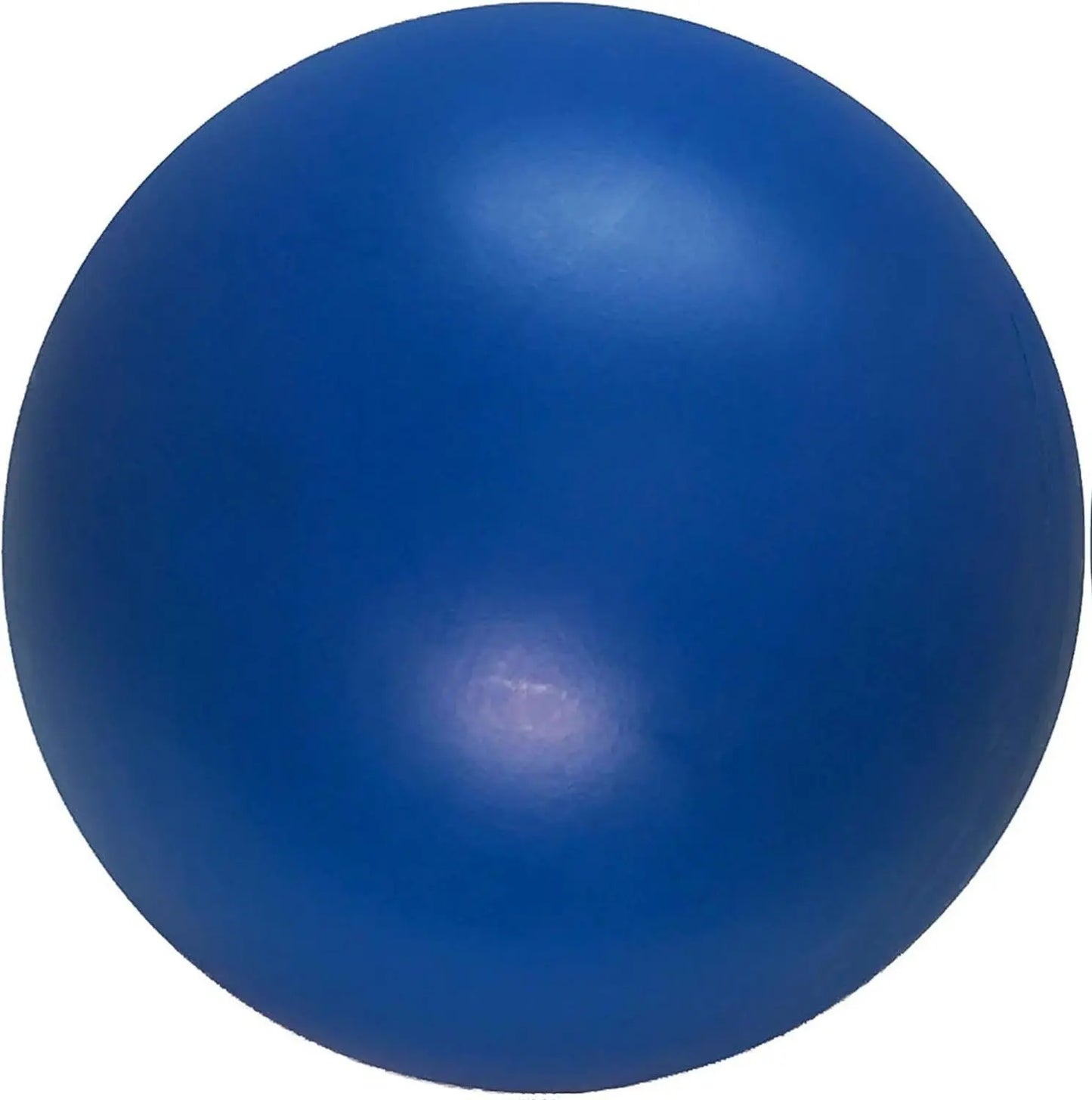 Durable 10-Inch Dog Ball for Enhanced Playtime