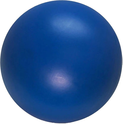 Durable 10-Inch Dog Ball for Enhanced Playtime