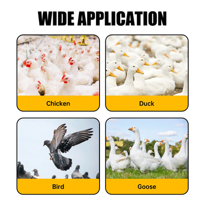 Automatic Poultry Waterer Cups | Versatile Water Feeder for Chickens, Ducks, Geese, Turkeys, and Rabbits | 5-Pack Poultry Water Feeding Kit