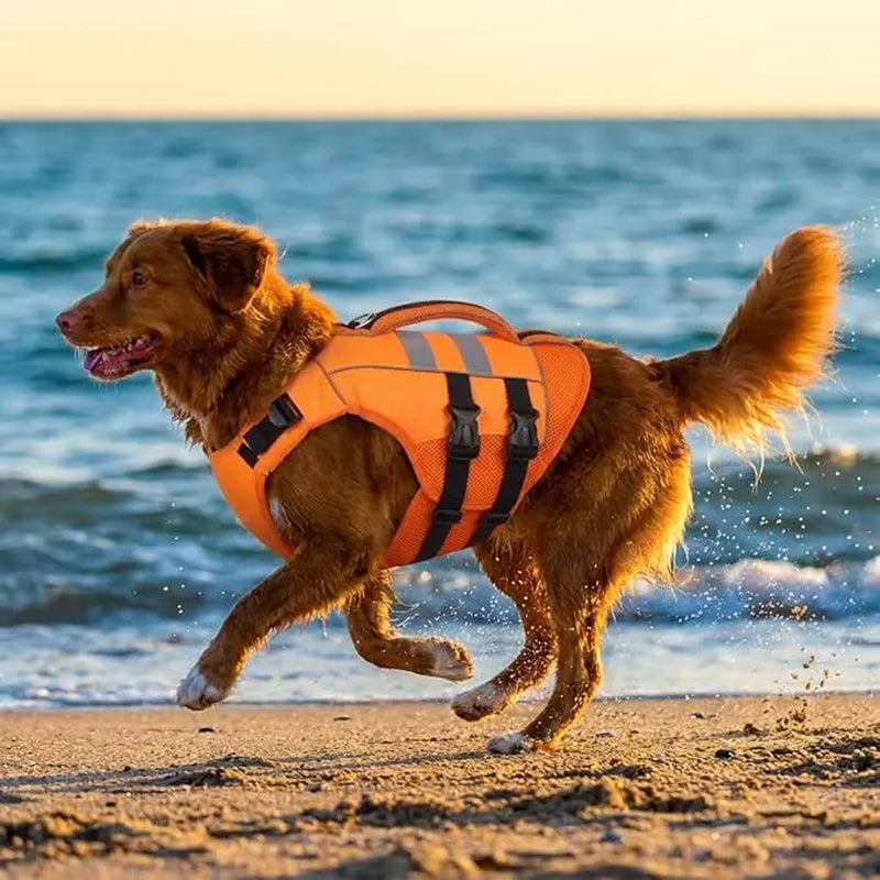Kuoser Large Dog Life Jacket - High Flotation Safety Vest for Swimming and Boating, Reflective Water Vest with Rescue Handle